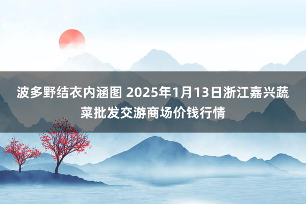 波多野结衣内涵图 2025年1月13日浙江嘉兴蔬菜批发交游商场价钱行情