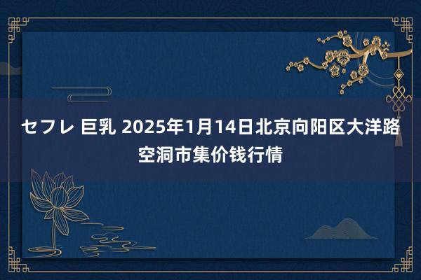 セフレ 巨乳 2025年1月14日北京向阳区大洋路空洞市集价钱行情