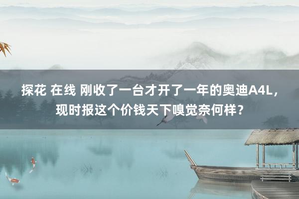 探花 在线 刚收了一台才开了一年的奥迪A4L，现时报这个价钱天下嗅觉奈何样？